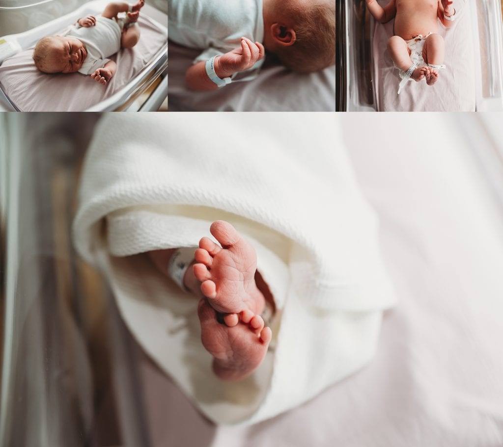 annapolis md fresh 48- hospital newborn photography at anne arundel medical center