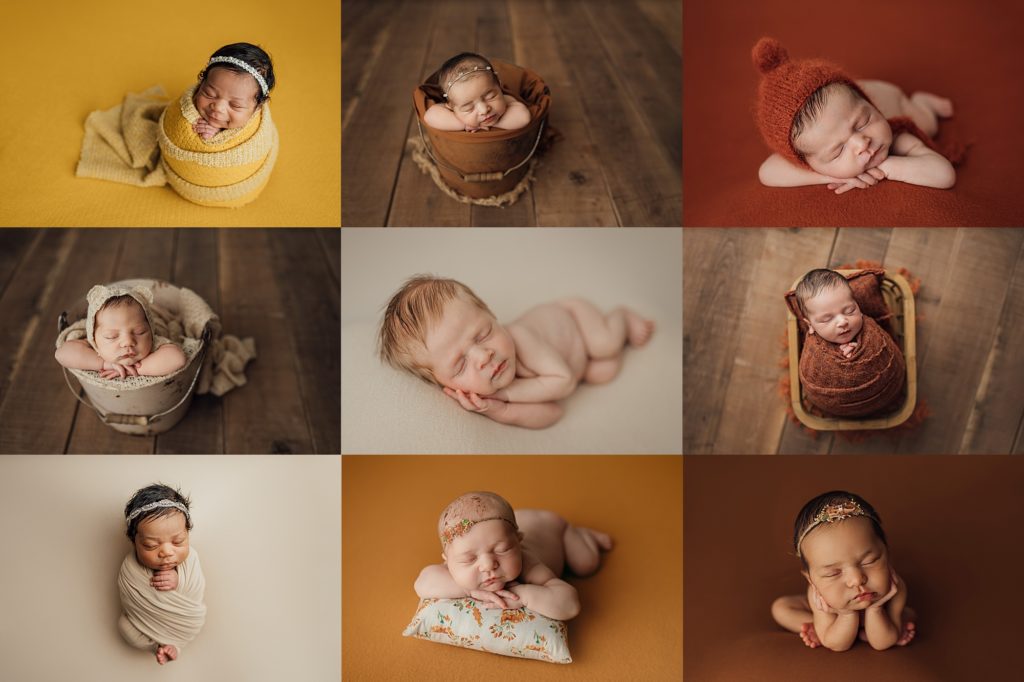 collage of babies posed in tampa newborn studio 